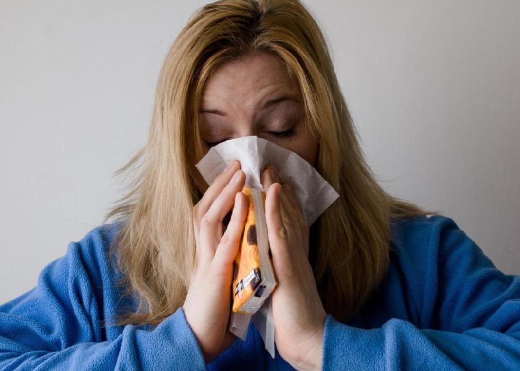 E’ arrivato in Italia il virus dell’influenza