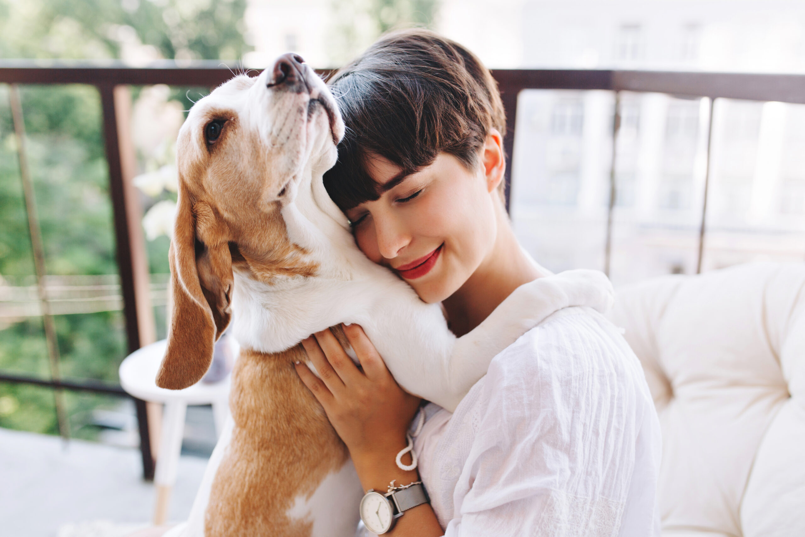 Cane: il miglior amico della salute